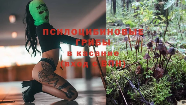 стафф Володарск