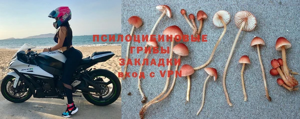 ГАЛЛЮЦИНОГЕННЫЕ ГРИБЫ Волосово