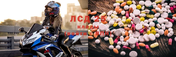ГАЛЛЮЦИНОГЕННЫЕ ГРИБЫ Волосово