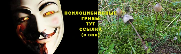 стафф Володарск
