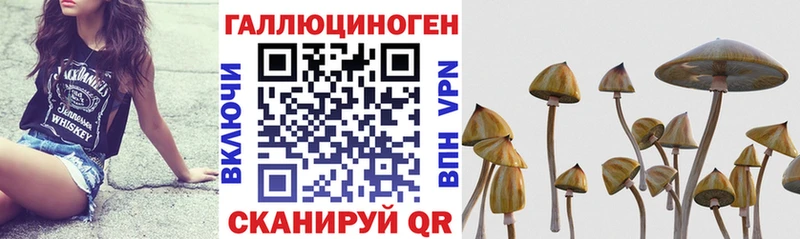 Купить где  Лянтор  Псилоцибиновые грибы GOLDEN TEACHER 